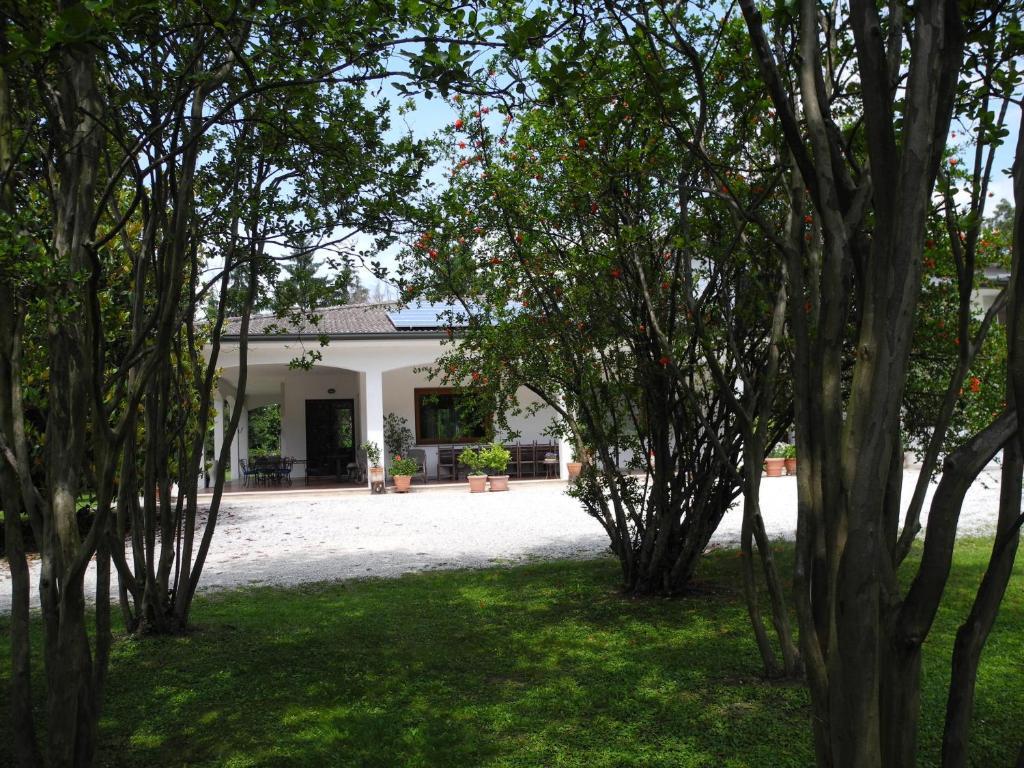 B&B Villa Miani Silea Екстер'єр фото